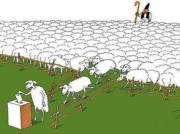 avys_rinkimai-438x327