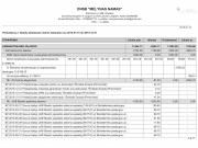 2015 m. detalizuota ataskaita